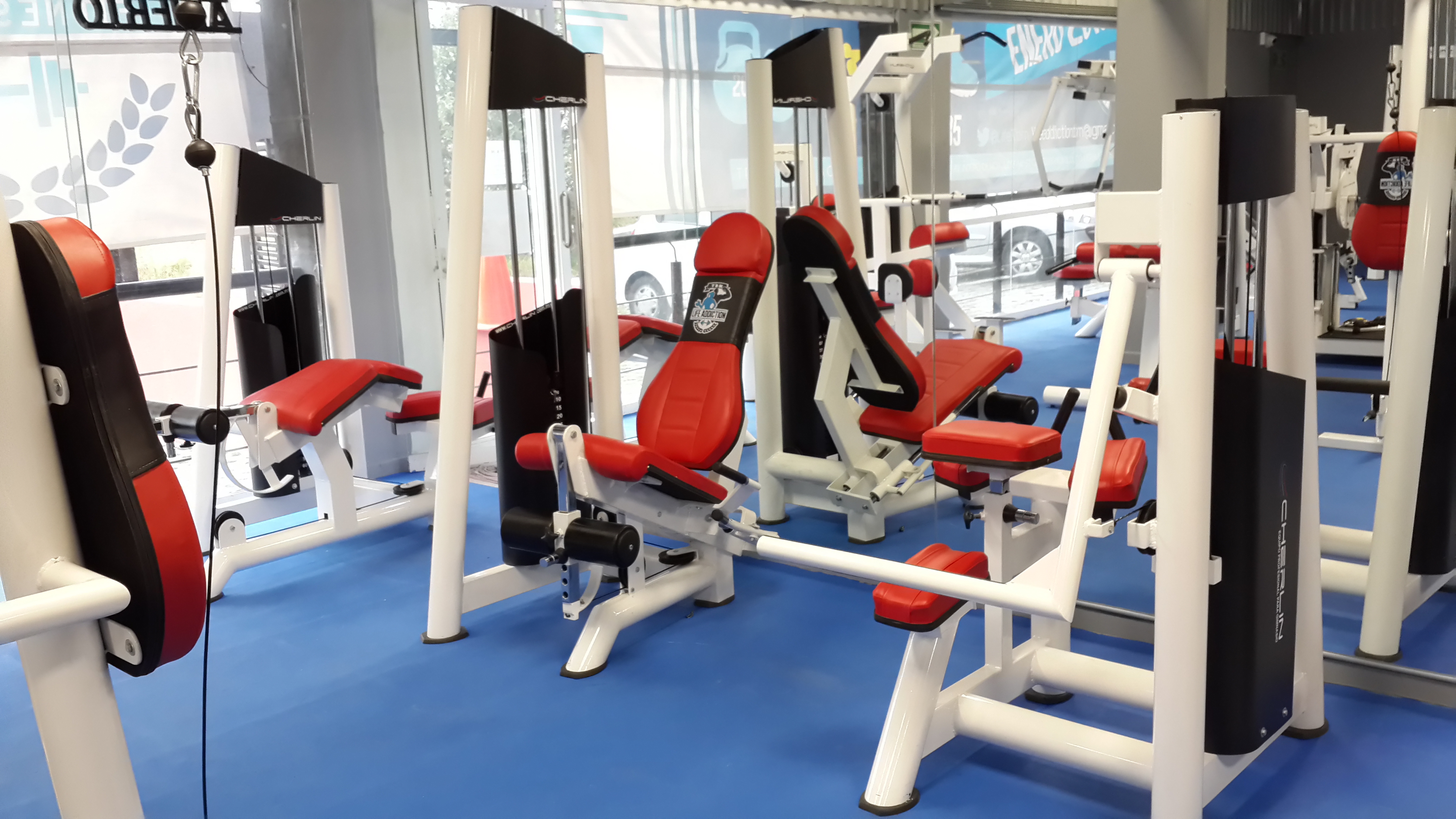 como ser constante en el gym
